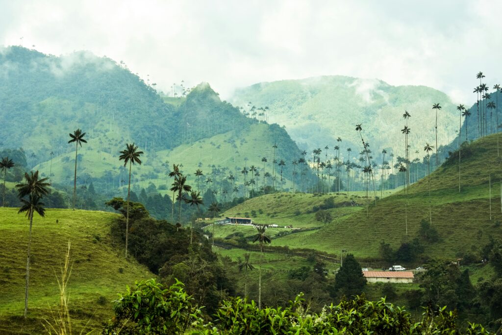 VALLE DE CÓCORA