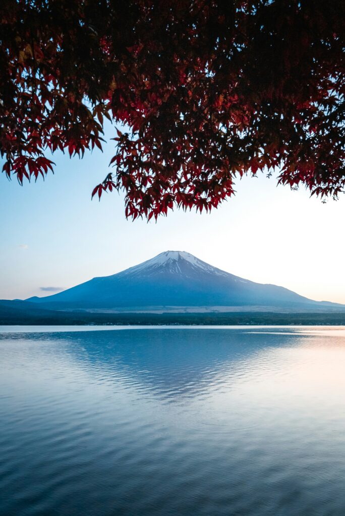 fuji